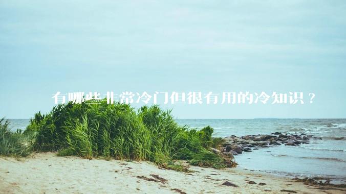 有哪些非常冷门但很有用的冷知识?