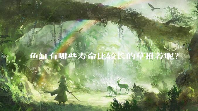 鱼缸有哪些寿命比较长的草推荐呢？