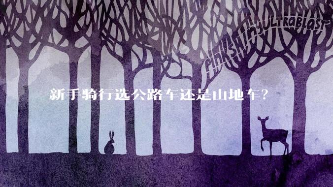 新手骑行选公路车还是山地车？
