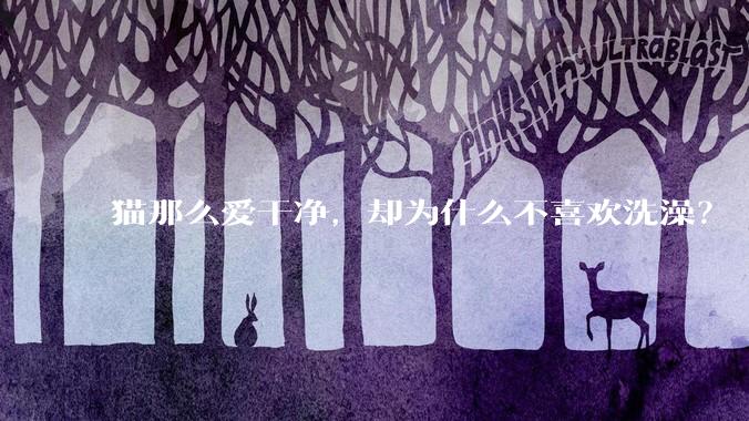 猫那么爱干净，却为什么不喜欢洗澡？