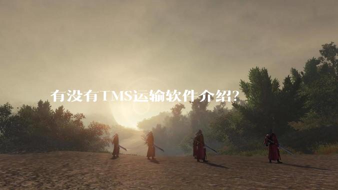有没有TMS运输软件介绍？