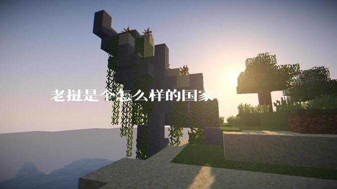 老挝是个怎么样的国家？