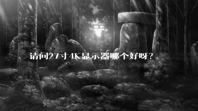 请问27寸4K显示器哪个好呀？