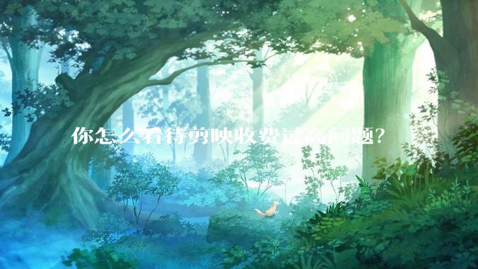 你怎么看待剪映收费过高问题？